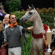 2011 Arabian Breeders World Cup | Kidder