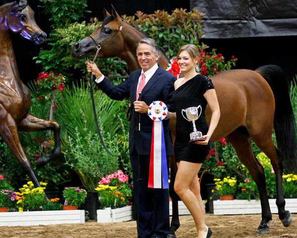 2011 Arabian Breeders World Cup | Kidder