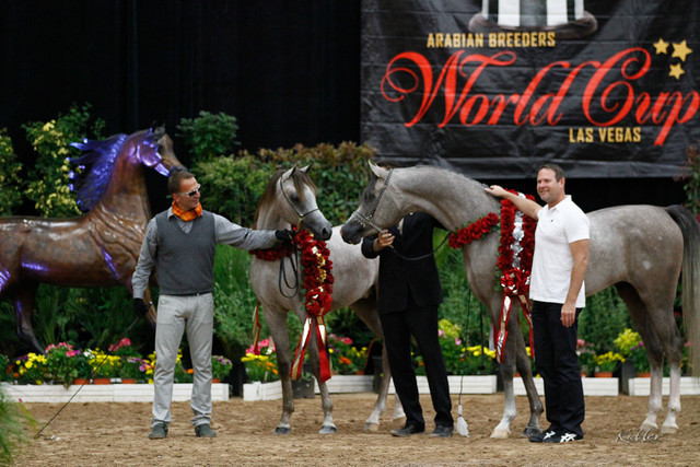 2011 Arabian Breeders World Cup | Kidder