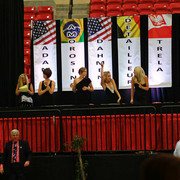 2011 Arabian Breeders World Cup | Kidder