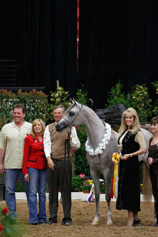 2011 Arabian Breeders World Cup | Kidder