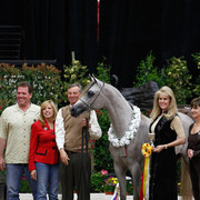 2011 Arabian Breeders World Cup | Kidder