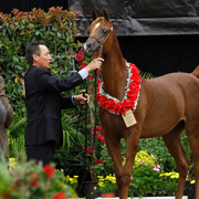 2011 Arabian Breeders World Cup | Kidder