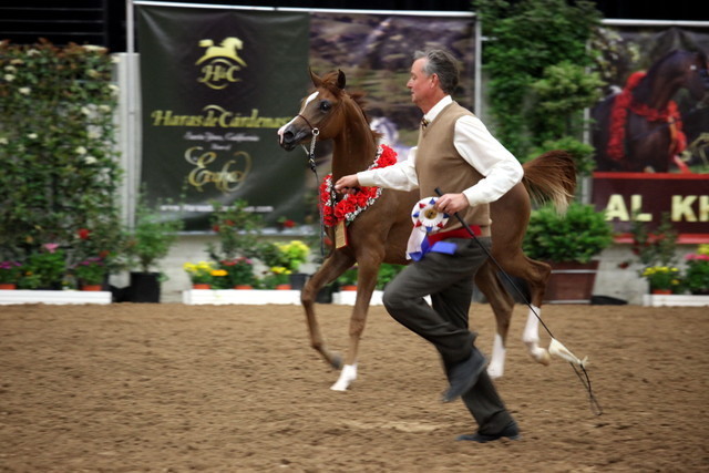 2011 Breeders World Cup | Day 2