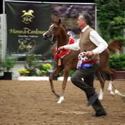 2011 Breeders World Cup | Day 2
