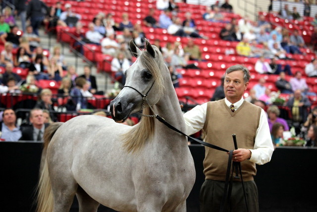 2011 Breeders World Cup | Day 2