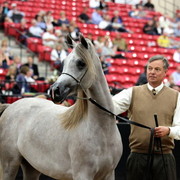 2011 Breeders World Cup | Day 2