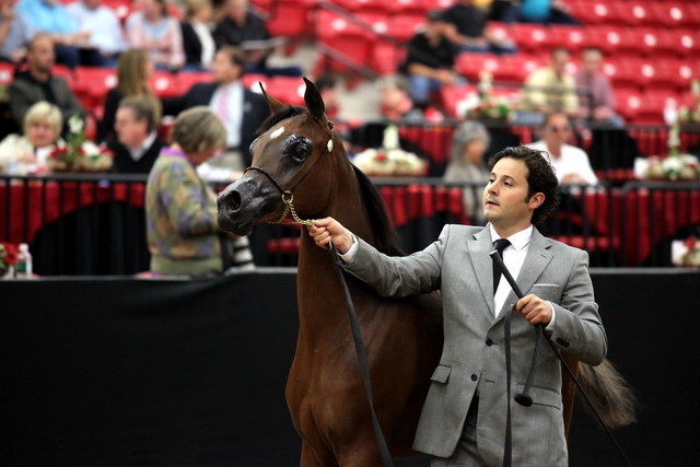 2011 Breeders World Cup | Day 2