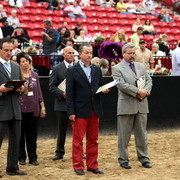 2011 Breeders World Cup | Day 2