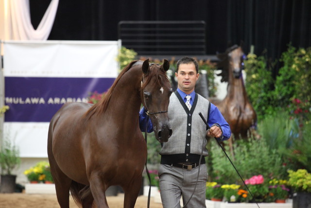 2011 Breeders World Cup | Day 2