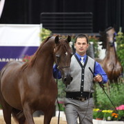 2011 Breeders World Cup | Day 2