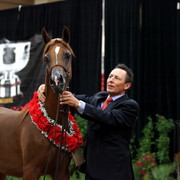 2011 Breeders World Cup | Day 2