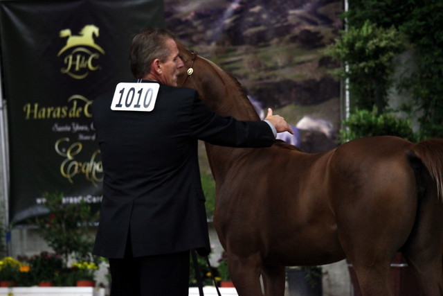 2011 Breeders World Cup | Day 2