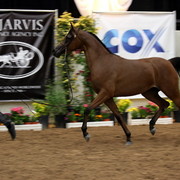 2011 Breeders World Cup | Day 2