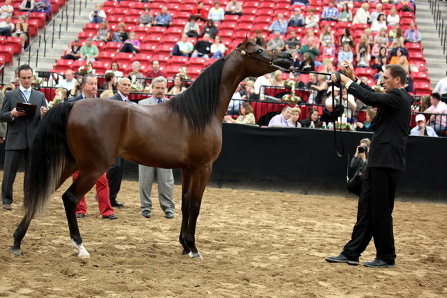 2011 Breeders World Cup | Day 2