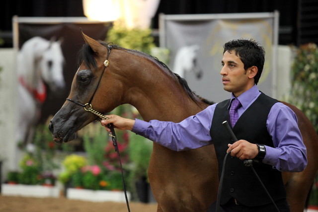 2011 Breeders World Cup | Day 2