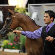 2011 Breeders World Cup | Day 2
