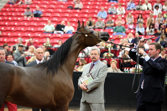 2011 Breeders World Cup | Day 2