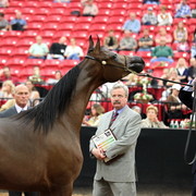 2011 Breeders World Cup | Day 2
