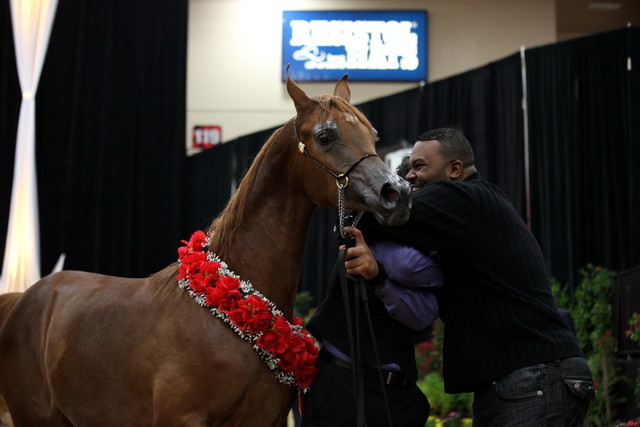2011 Breeders World Cup | Day 2