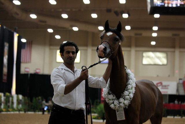 2011 Breeders World Cup | Day 2