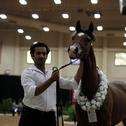 2011 Breeders World Cup | Day 2