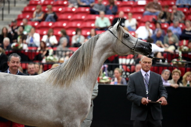 2011 Breeders World Cup | Day 2