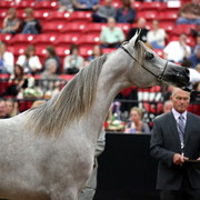 2011 Breeders World Cup | Day 2
