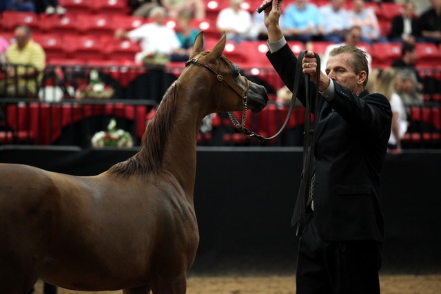 2011 Breeders World Cup | Day 2