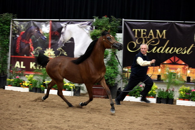 2011 Breeders World Cup | Day 2