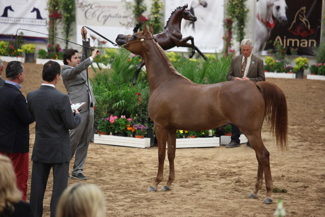 2011 Breeders World Cup | Day 2