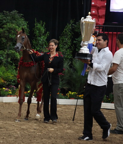 2011 Breeders World Cup | Championships