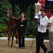 2011 Breeders World Cup | Championships