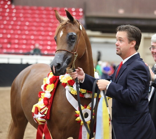 2011 Breeders World Cup | Championships