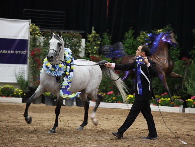 2011 Breeders World Cup | Championships