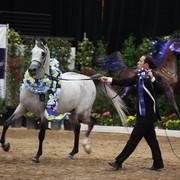 2011 Breeders World Cup | Championships