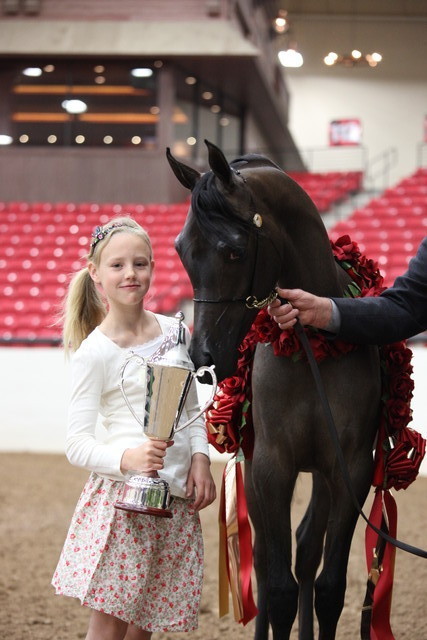 2011 Breeders World Cup | Championships