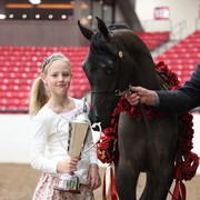 2011 Breeders World Cup | Championships