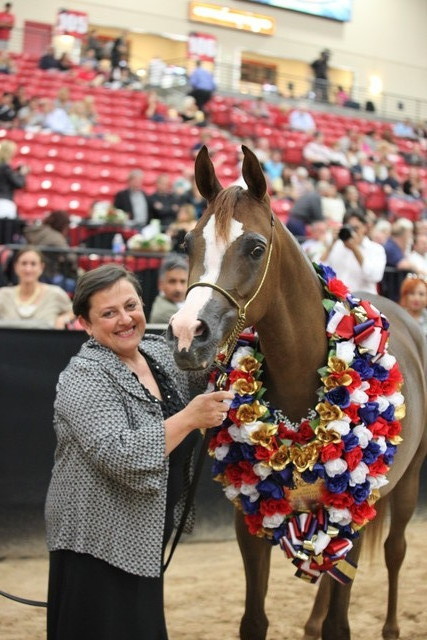 2011 Breeders World Cup | Championships