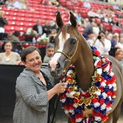 2011 Breeders World Cup | Championships