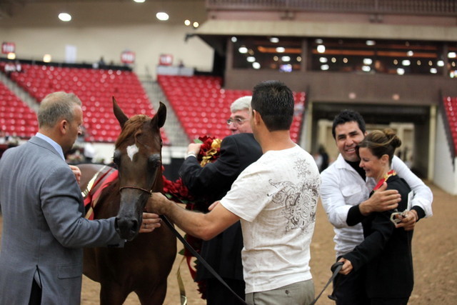 2011 Breeders World Cup | Championships
