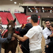 2011 Breeders World Cup | Championships