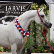 2011 Breeders World Cup | Championships