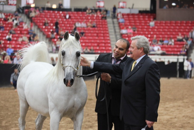 2011 Breeders World Cup | Championships