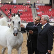 2011 Breeders World Cup | Championships