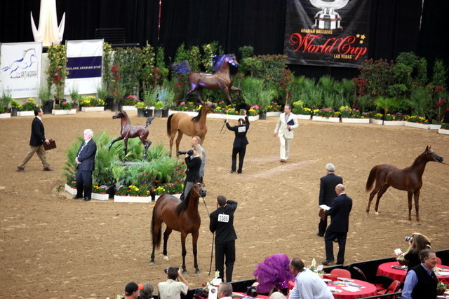 2011 Breeders World Cup | Championships