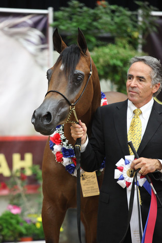 2011 Breeders World Cup | Championships