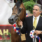 2011 Breeders World Cup | Championships