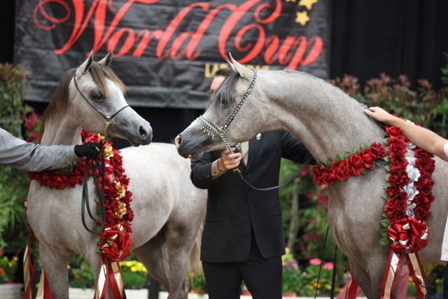 2011 Breeders World Cup | Championships