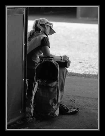 New Zealand Arabian Nationals